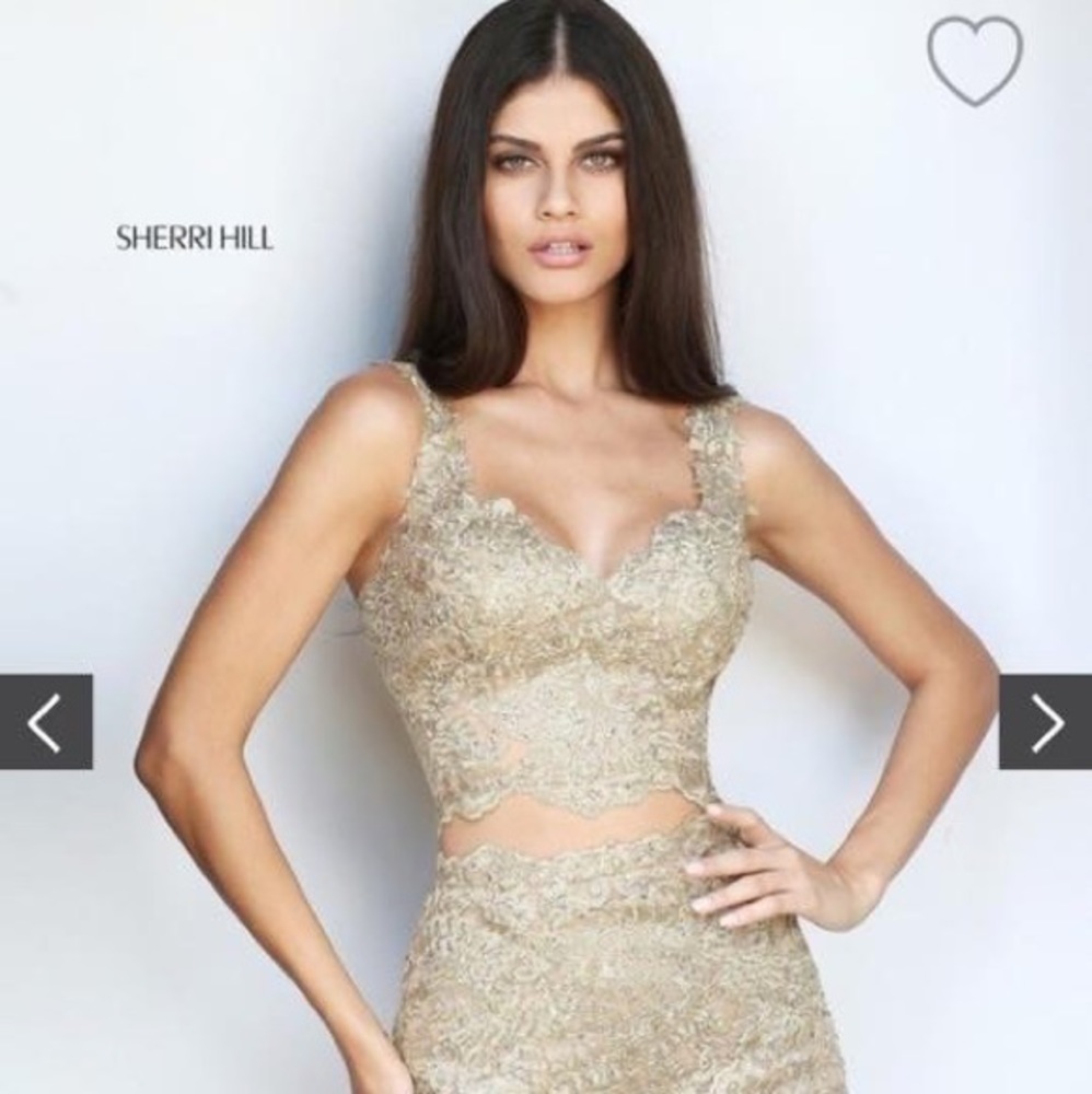 Sherri Hill Prom or Pageant Dress